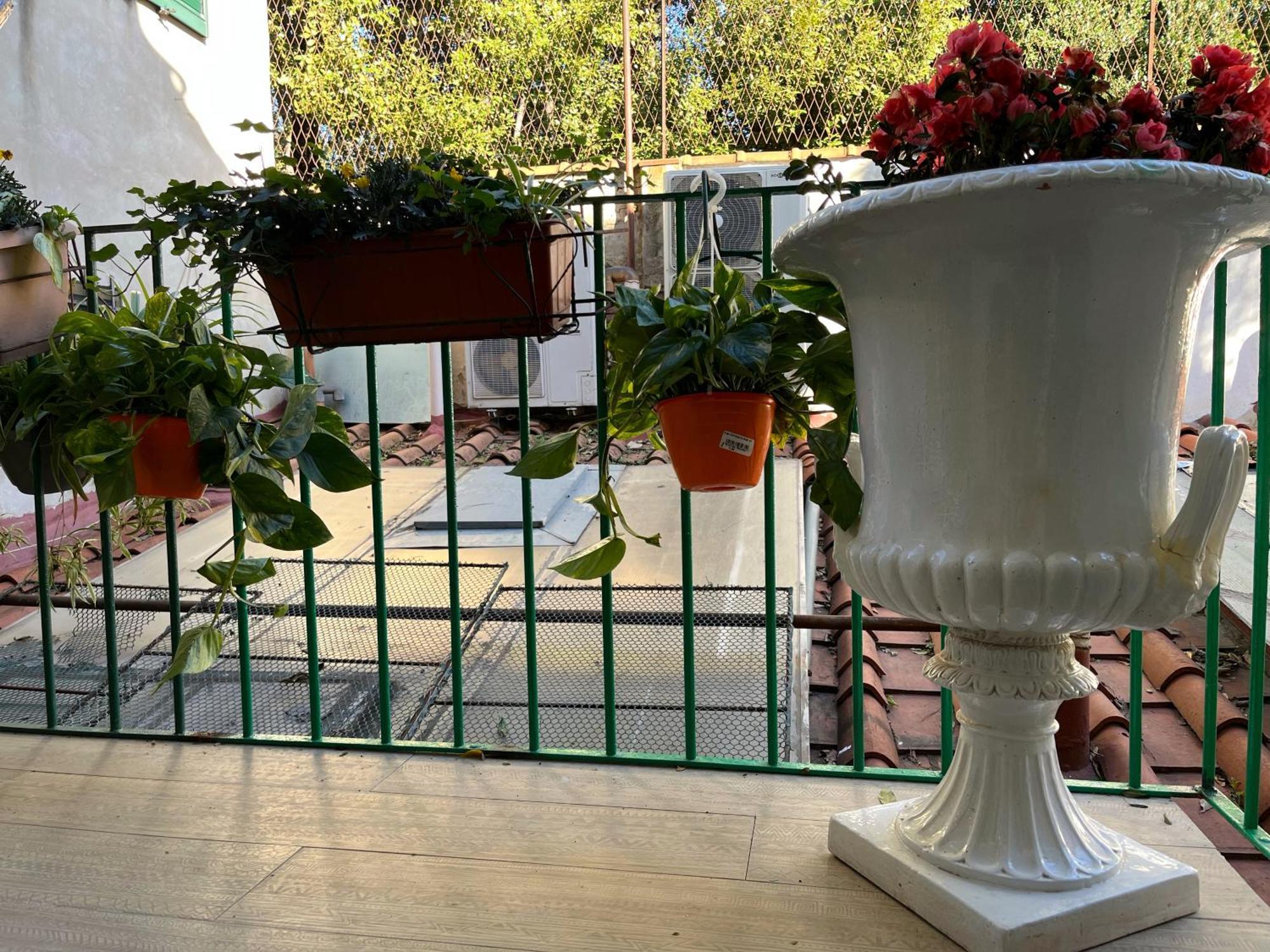 B&B Alla Corte Dei Medici Firenze Eksteriør bilde